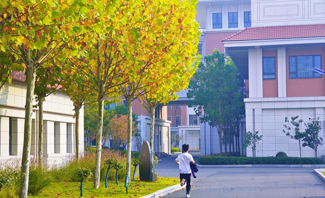 光影拾秋，港外映像|“港外的秋”摄影大赛圆满收官，凝光成诗